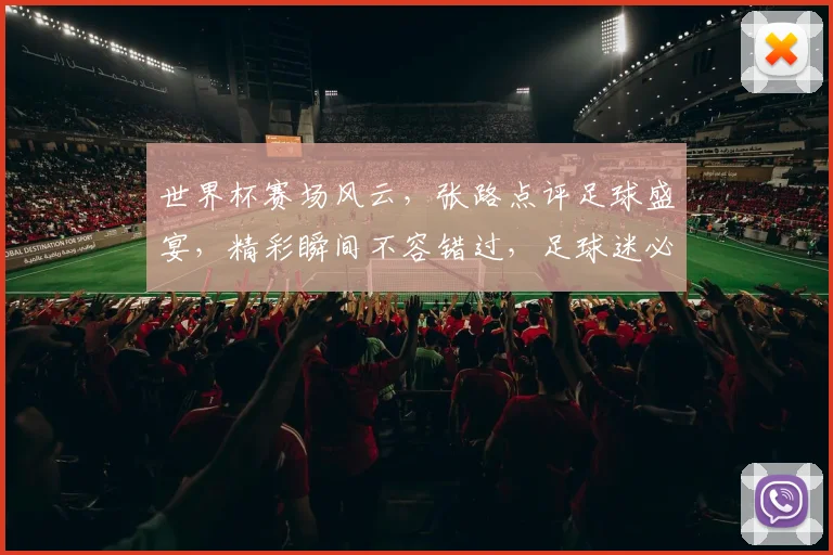 世界杯赛场风云，张路点评足球盛宴，精彩瞬间不容错过，足球迷必看