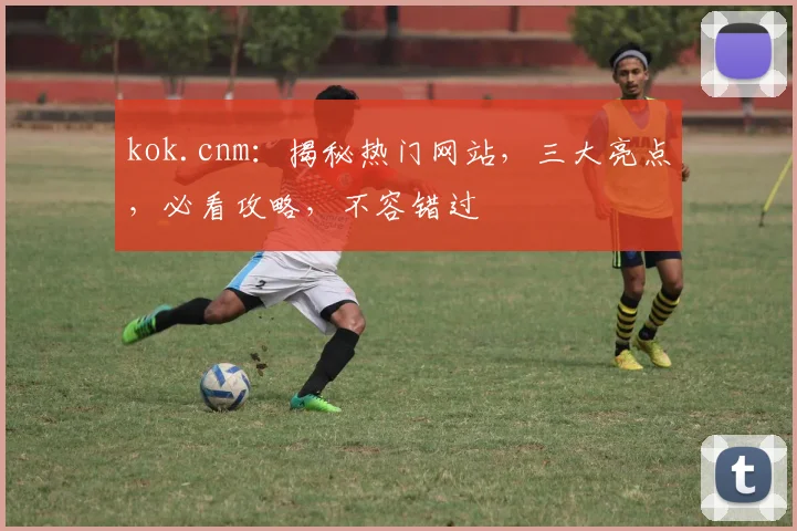 kok.cnm：揭秘热门网站，三大亮点，必看攻略，不容错过