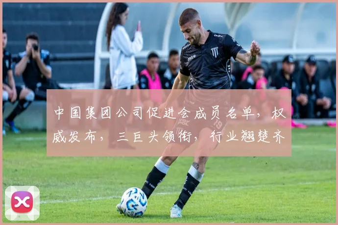 中国集团公司促进会成员名单，权威发布，三巨头领衔，行业翘楚齐聚，一网打尽